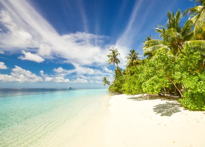 Splash World Limited - Zanzibar