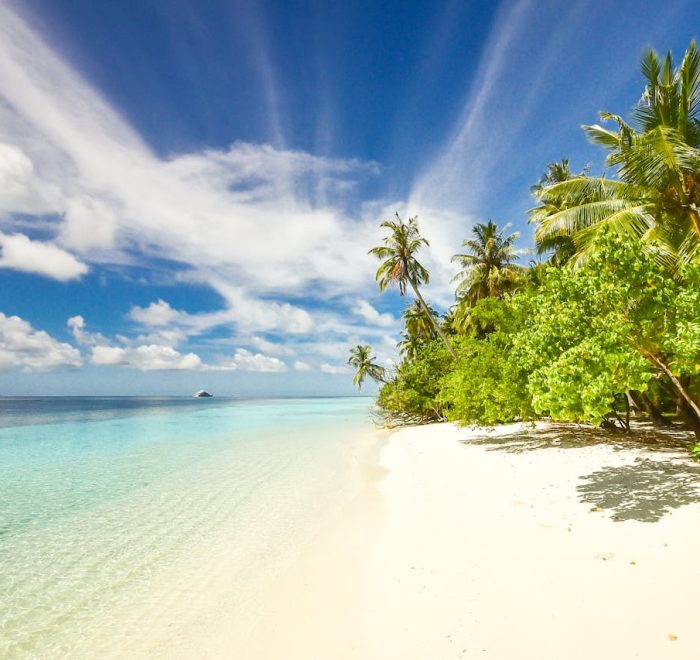 Splash World Limited - Zanzibar