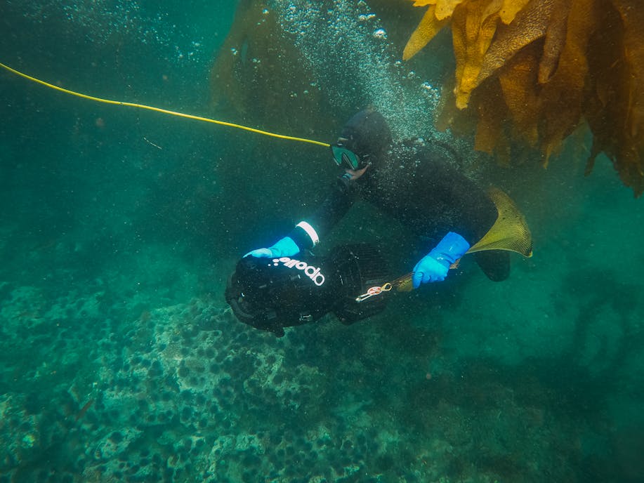 Splash World Limited Deep Sea Fishing in Watamu