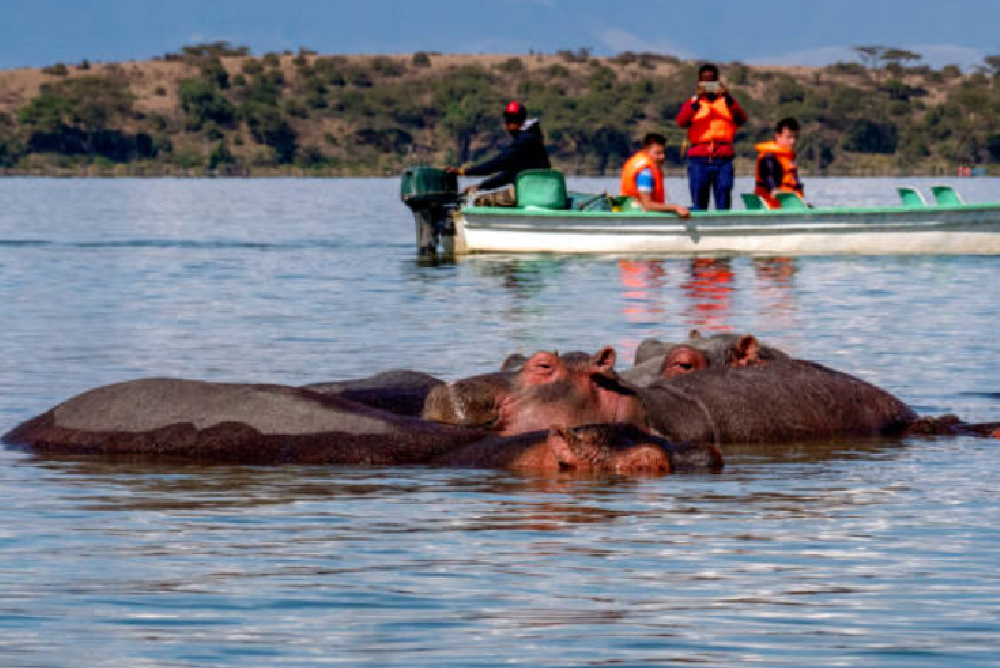 Splash World Limited Naivasha Boat Ride