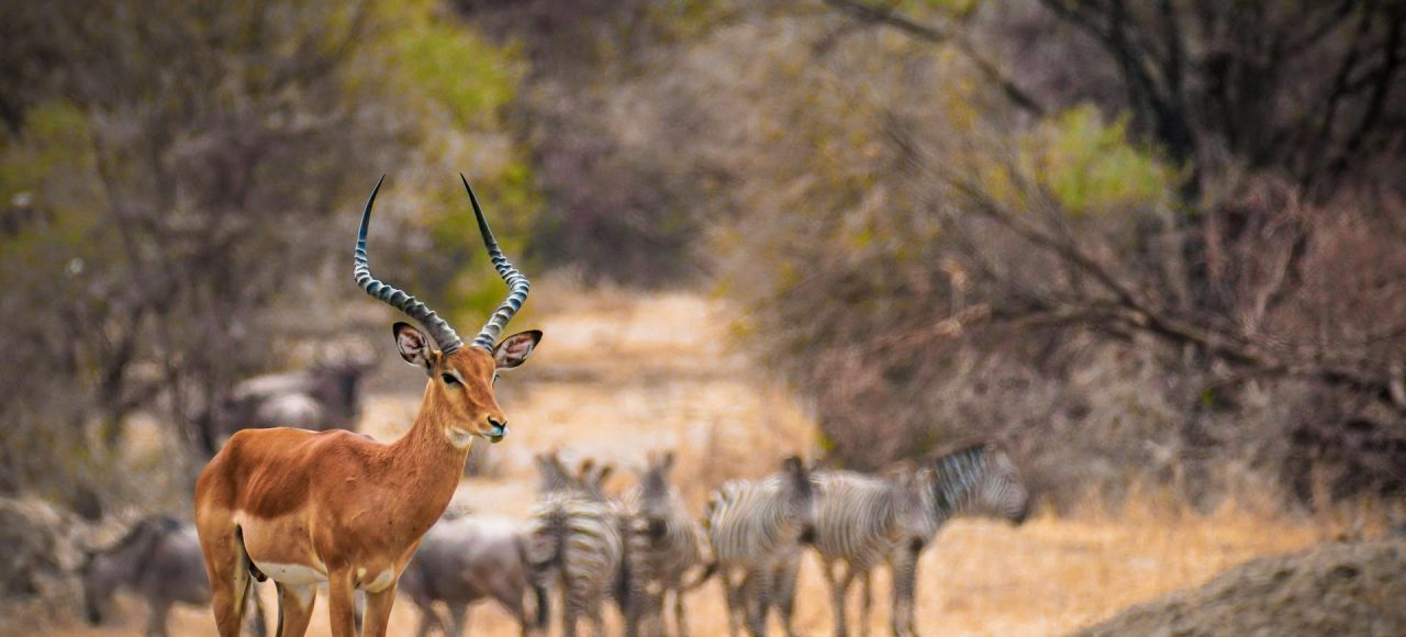 Splash World Limited-Nanyuki Package