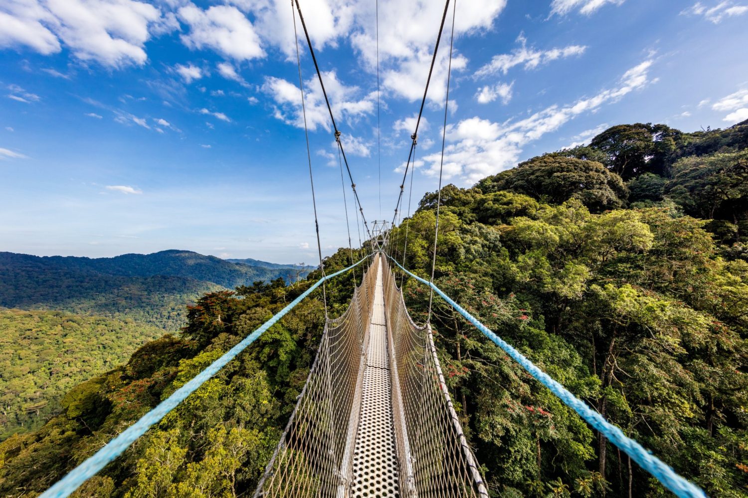 Splash World Limited nyungwe-forest-park-rwanda