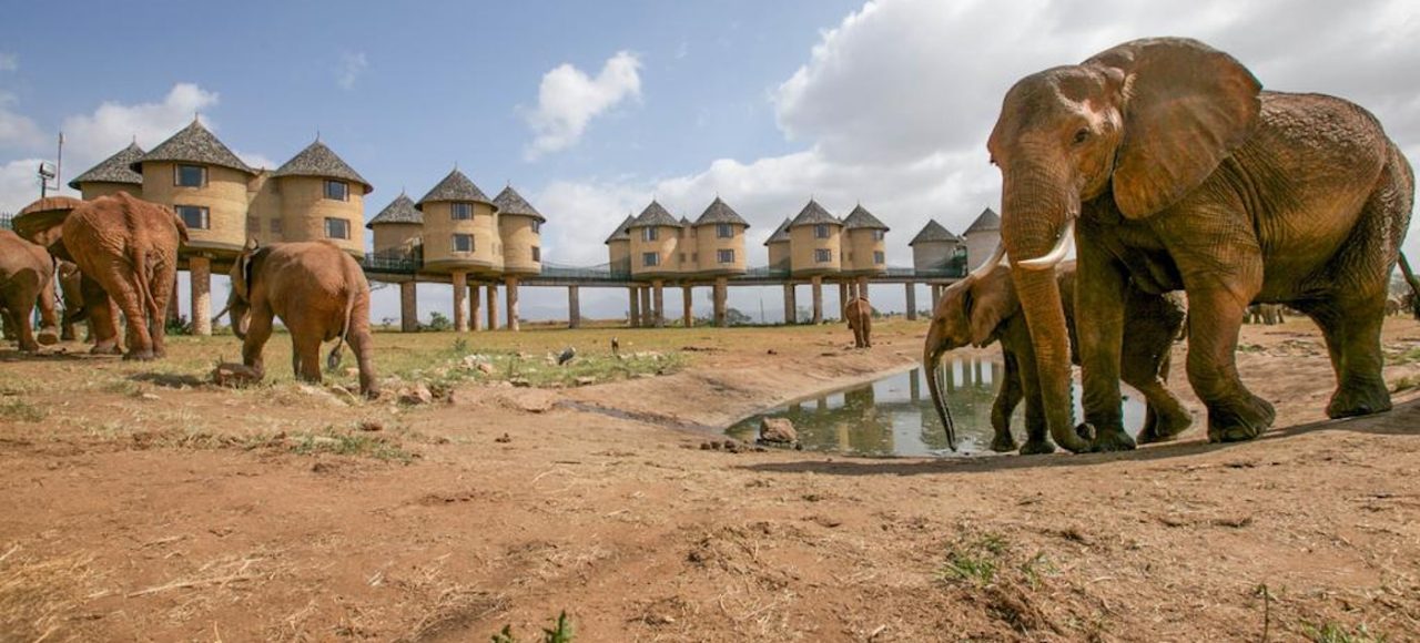 salt-lick-safari-lodge