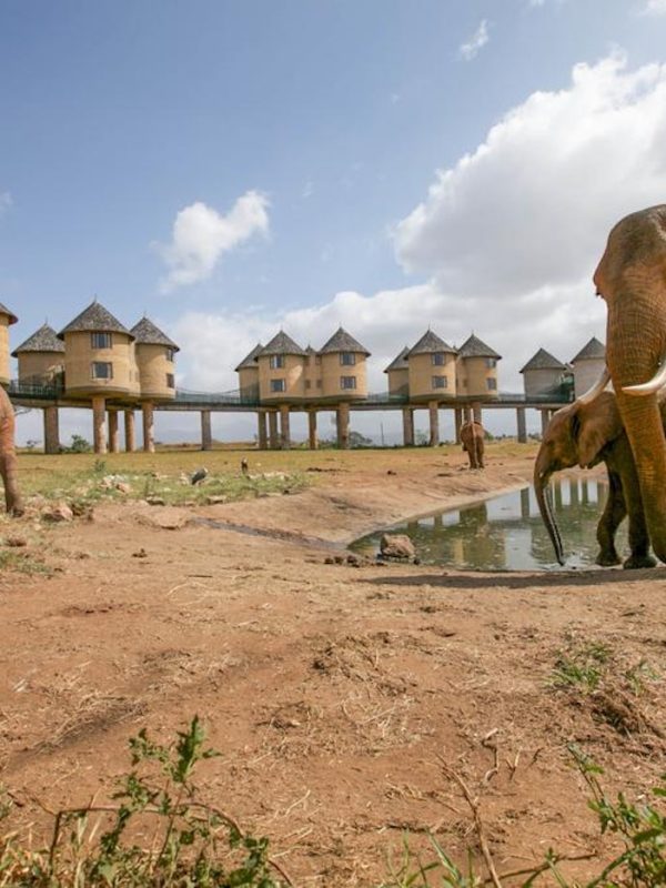 salt-lick-safari-lodge